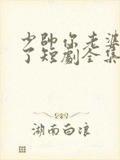 少帅你老婆又跑了短剧全集完整版封面