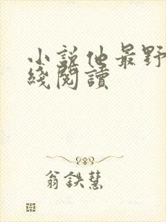 小说他最野了在线阅读