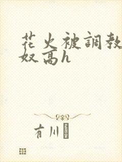 花火被调教成肉奴高h