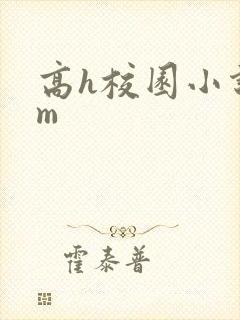 高h校园小说sm