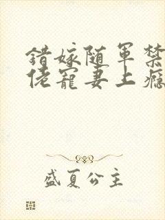 错嫁随军禁欲大佬宠妻上瘾小说封面