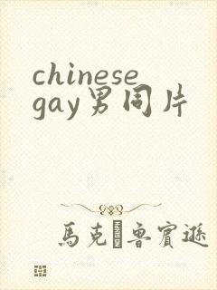 chinesegay男同片