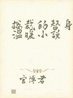 总裁的替身前妻温暖小说