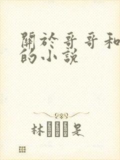 关于哥哥和弟弟的小说封面