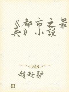 《都市之最强狂兵》小说