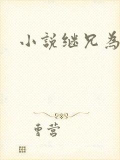 小说继兄为夫