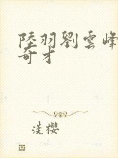 陆羽刘云峰官场奇才封面