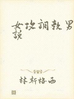 女攻调教男受小说封面