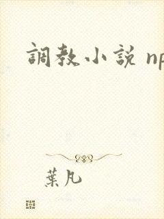 调教小说 np封面