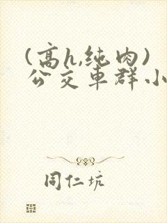 (高h,纯肉)公交车群小说