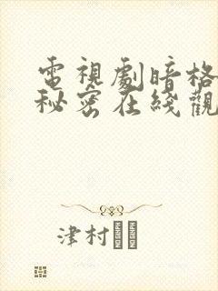 电视剧暗格里的秘密在线观看免费封面