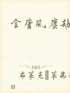 金庸风尘劫