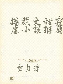 总裁文甜宠文无虐小说推荐封面