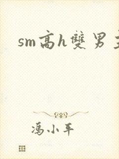 sm高h双男主封面