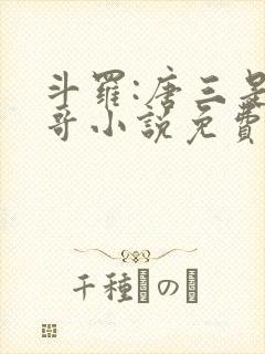 斗罗:唐三是我哥小说免费阅读