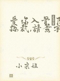 爱你入骨·隐婚总裁,请签字小说