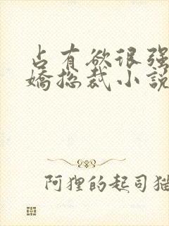 占有欲很强的病娇总裁小说封面