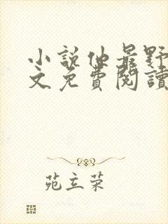 小说他最野了全文免费阅读