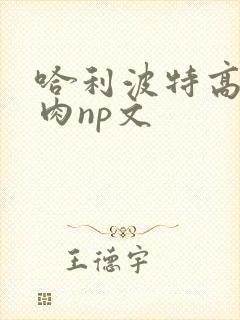 哈利波特高h纯肉np文封面