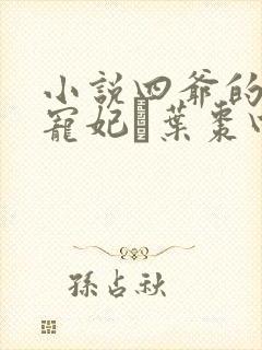 小说四爷的心尖宠妃·叶枣四爷全篇