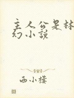 主人公是林天玄幻小说封面