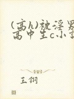 (高h)被淫男高中生c小说
