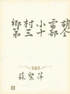乡村小雷胡秀英第三十部全文
