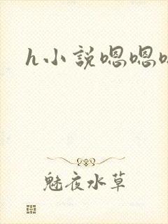 h小说嗯嗯嗯