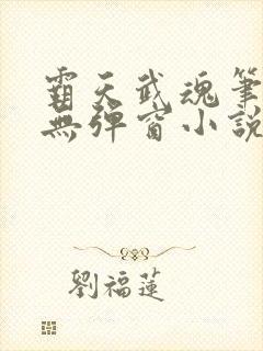 霸天武魂笔趣阁无弹窗小说