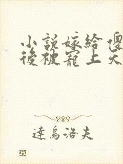 小说嫁给傻王爷后被宠上天