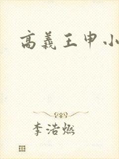 高义王申小说