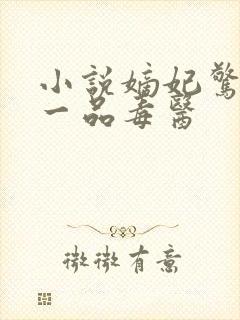 小说嫡妃惊华:一品毒医封面
