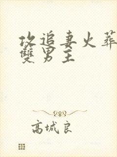 攻追妻火葬场的双男主封面