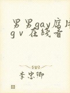 男男gay腐片gⅴ在线看封面