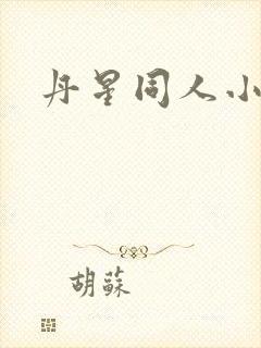 丹星同人小说
