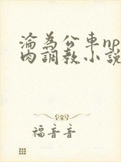 沦为公车np纯肉调教小说