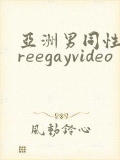 亚洲男同性恋freegayvideo
