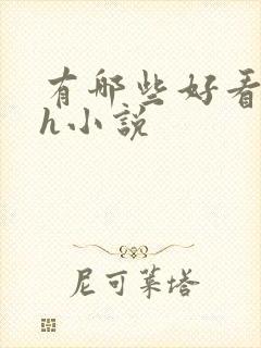有哪些好看的高h小说封面