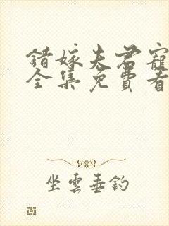 错嫁夫君宠上瘾全集免费看