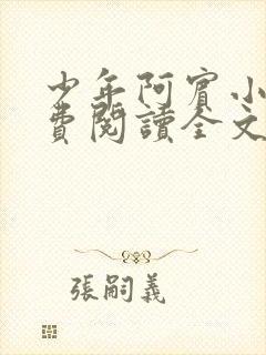少年阿宾小说免费阅读全文免费