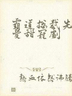霸道总裁先婚后爱甜宠剧封面