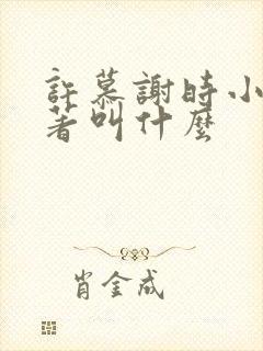 许慕谢时小说原著叫什么