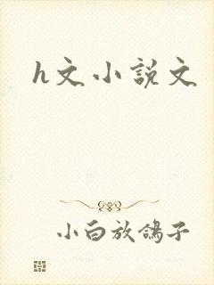 h文小说文