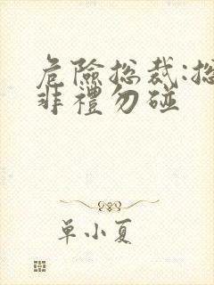 危险总裁:总裁非礼勿碰封面
