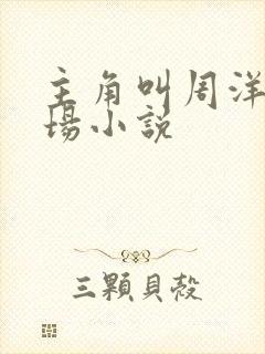 主角叫周洋的官场小说封面