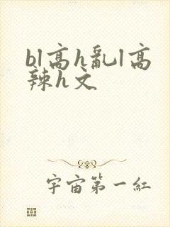 bl高h乱l高辣h文