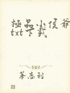 极品小侯爷免费txt下载