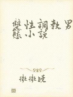 双性调教男奴变态小说