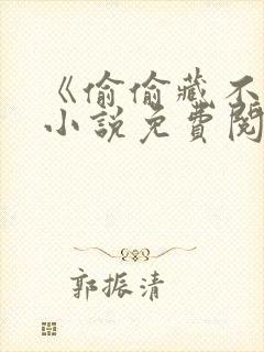 《偷偷藏不住》小说免费阅读