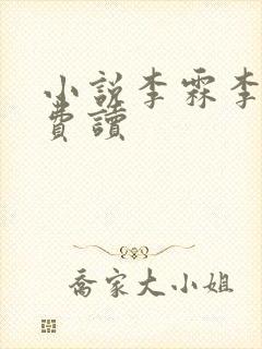 小说李霖李澜免费读封面